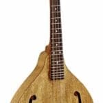 Ortega mandolin A style natural with deluxe bag RMA5NA