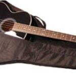 Gig Bag Acoustic Bass padded bag