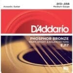 D’Addario  Phosphor Bronze Acoustic Guitar Strings