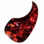 acoustic pickguard toroise shell new york pro