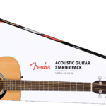 Fender acoustic guitar package deal FA-115 pack with case, picks, strings, instructions