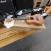 Tanglewood Tu101na Natural