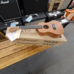 Tanglewood Tu101na Natural