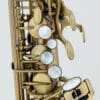 Chateau Chenonceau CAS-80 Alto saxophone (Antique) brand new open box Price$2,199.99 + $45 Shipping - Image 2