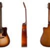 Seagull Entourage Dreadnought Autumn Burst Price $629 - Image 2