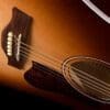 Seagull Entourage Dreadnought Autumn Burst Price $629 - Image 6