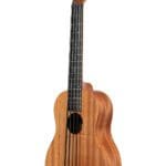 Kala UBASS-NOMAD-FS Nomad Acoustic Electric U-Bass – Price $199