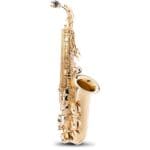 Etude Alto Saxophone Outfit with case and accessories