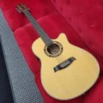 Ibanez 12-String Acoustic Electric Guitar AEF18/12-NT-OP-01 Natural Price $249.99
