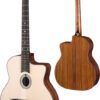Eastman DM1 Gypsy Jazz Guitar Natural w/Bag