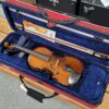 Stentor Harlequin 12" Viola outfit with case and bow - Traditional gloss
