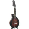Gold Tone F-12: 12-string F-style Mando-Guitar with Pickup and Case - Satin Burst Brand New $699.99