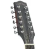 Gold Tone F-12: 12-string F-style Mando-Guitar with Pickup and Case - Satin Burst Brand New $699.99 - Image 5