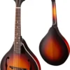 Eastman MDO305E-SB Octave Mandolin - Sunburst with Pickup: K&K Duotone and Gig Bag