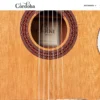 Cordoba Requinto 580 1/2 size Classical Guitar - Natural Brand New $389 + $39.99 Shipping - Image 2