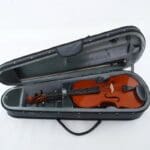 Yamaha Viola Braviol Outfit Used – Mint Price was $1468 50% OFF