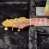 Chafin Custom Ember FT 2021 Rosewood T style guitar with case Duncans etc. $2950 + $150 Shipping - Image 15