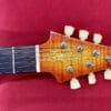 Warrior Isabella Signature Electric Guitar Cherry Sunburst Used $3999.95 + $125 Shipping - Image 8