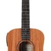 Taylor Baby BT2e 3/4-Size Acoustic-Electric Guitar with Gig Bag