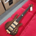 Wolf S10-6 Lined Fretless 6 String Bass with Rosewood Top – Rosewood Used $699 + $75 Shipping