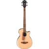 Ibanez AEGB30E Spruce-Sapele Acoustic-Electric Bass Guitar - Natural