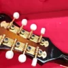Washburn M3sw F style mandolin Sunburst with case - Image 5