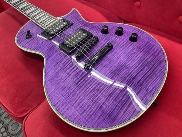 ESP LTD EC-1000 FM with Ebony Fretboard - See Thru Purple