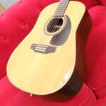 Seagull S12 – 12 string