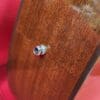 Seagull S12 - 12 string - Image 2