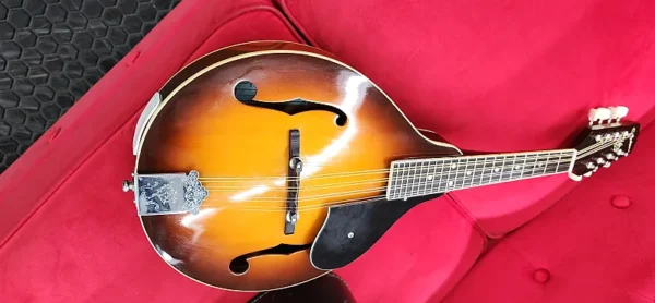 Epiphone mandolin with case MM30 1970s - Sunburst