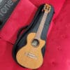 Kala KA-ATP-CTG-CE Solid Acacia Series Acoustic Electric Tenor Uke w/Bag - Cedar/Acacia