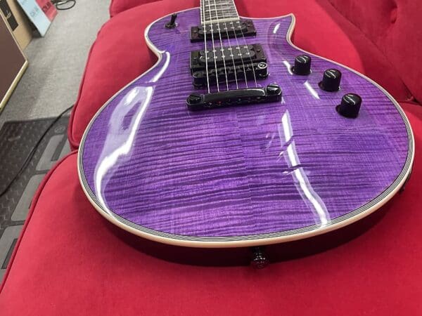 ESP LTD EC-1000 FM with Ebony Fretboard - See Thru Purple - Image 5