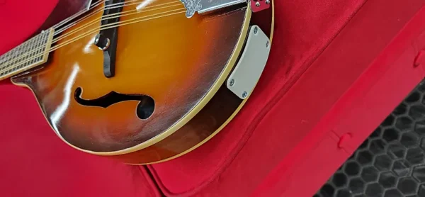 Epiphone mandolin with case MM30 1970s - Sunburst - Image 2