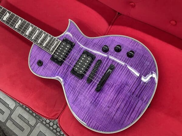 ESP LTD EC-1000 FM with Ebony Fretboard - See Thru Purple - Image 2