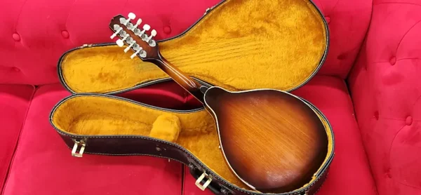 Epiphone mandolin with case MM30 1970s - Sunburst - Image 9