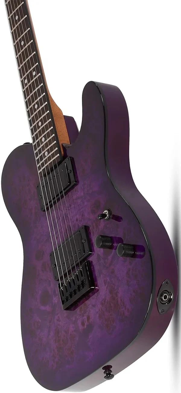 Schecter 3956 PT Standard Electric Guitar - Purple Burst Burl - Image 7