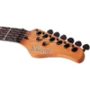 Schecter PT Standard Electric Guitar - Black Fade Burst Burl 3952 - Image 9