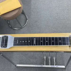 Dave Seddon Special Edition Pedal Steel 10 String E9