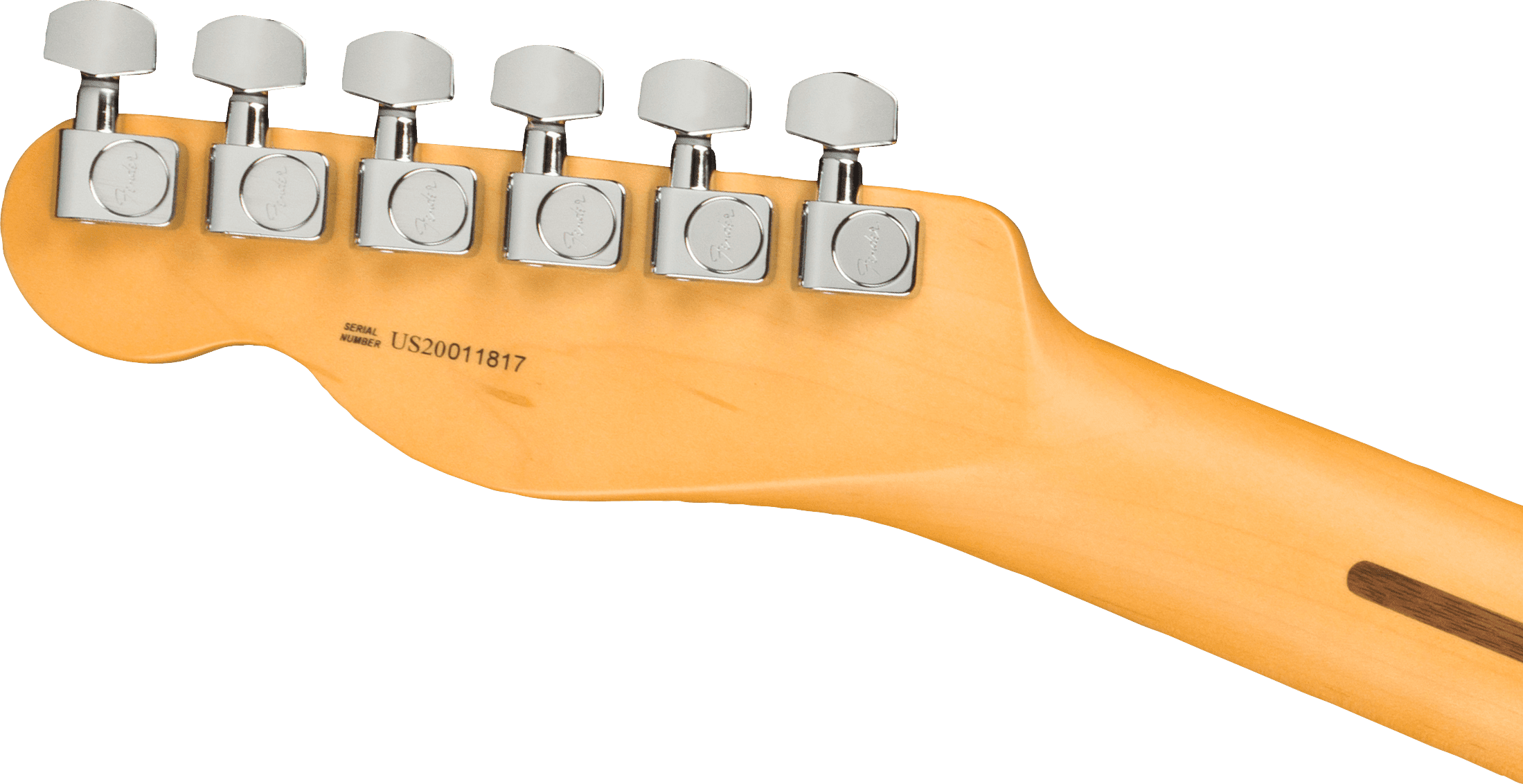 Fender American Professional II Telecaster Roasted Pine