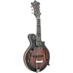 Gold Tone F-6 F-style 6-String Acoustic-Electric Mando-Guitar – Vintage Sunburst