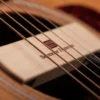 Seymour Duncan SA-3SC Woody Single Coil Soundhole Pickup - Maple - Image 2