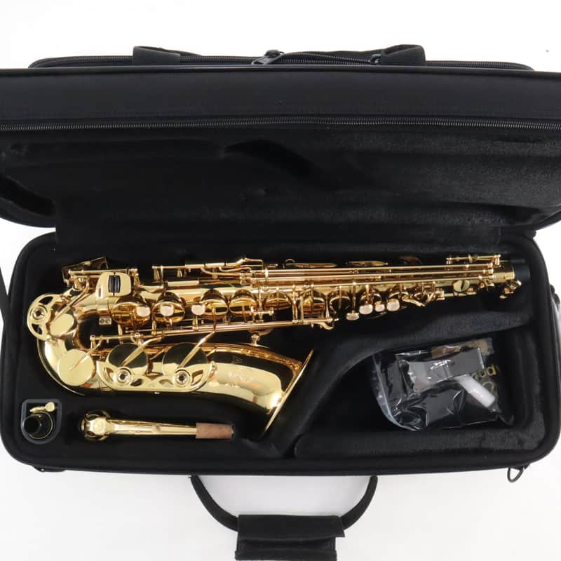 Apollo AAS-23 Alto Saxophone - Victor Litz